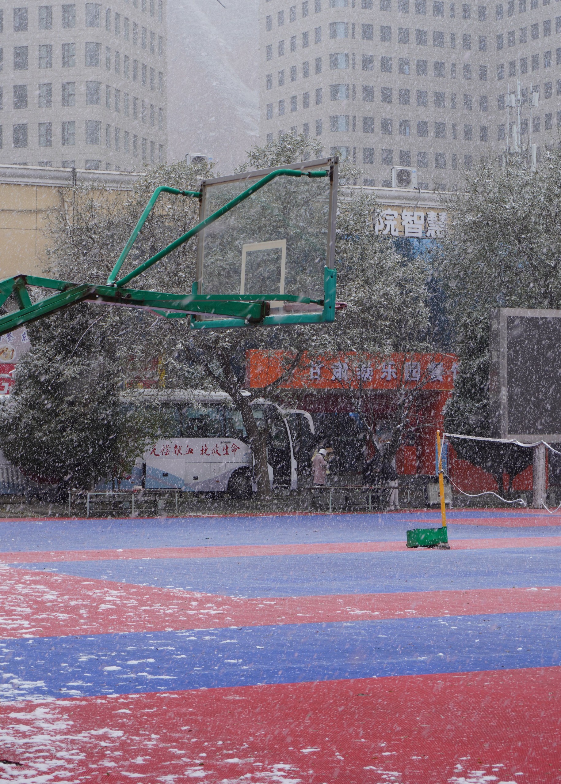 1700034856348336.jpg 1700034856348336.jpg