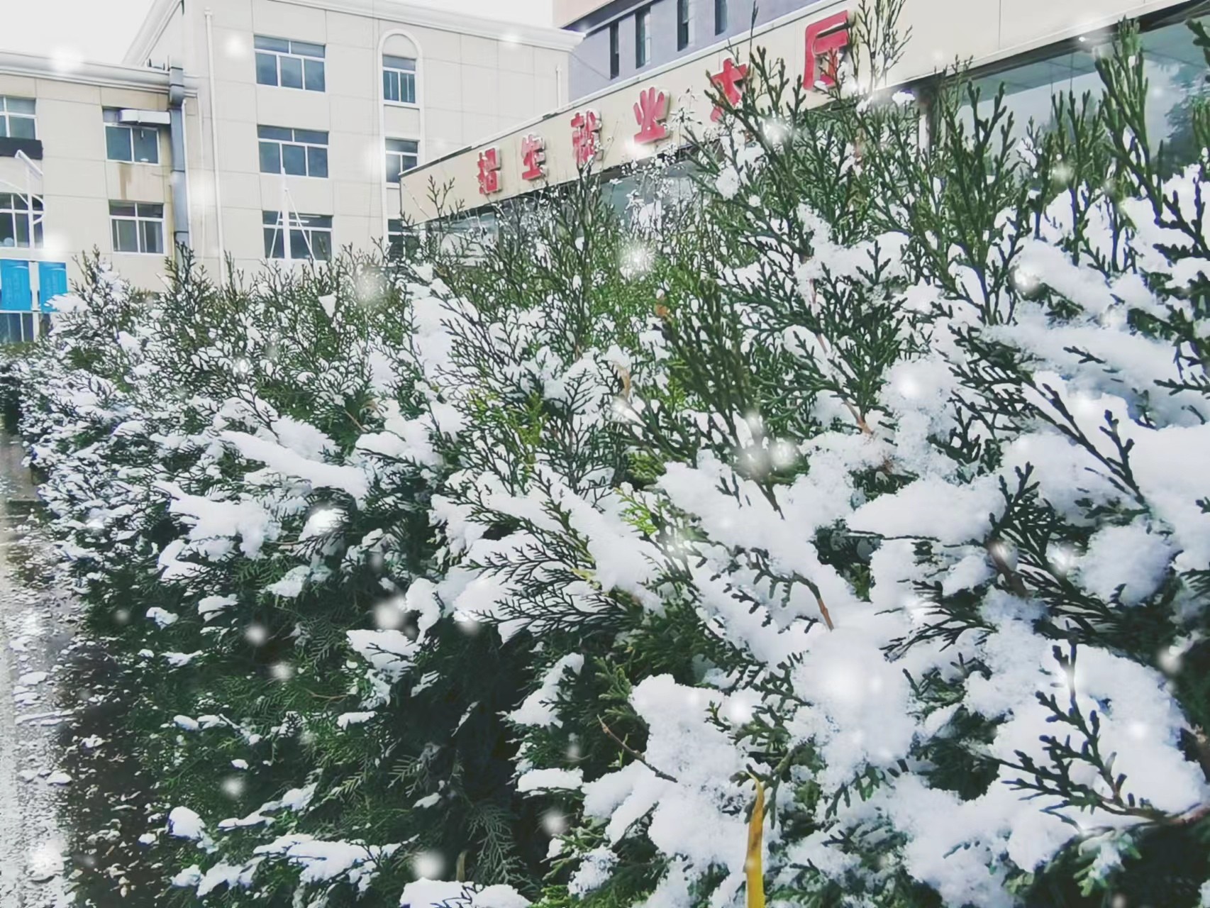 1700036089330518.jpg 1700036089330518.jpg