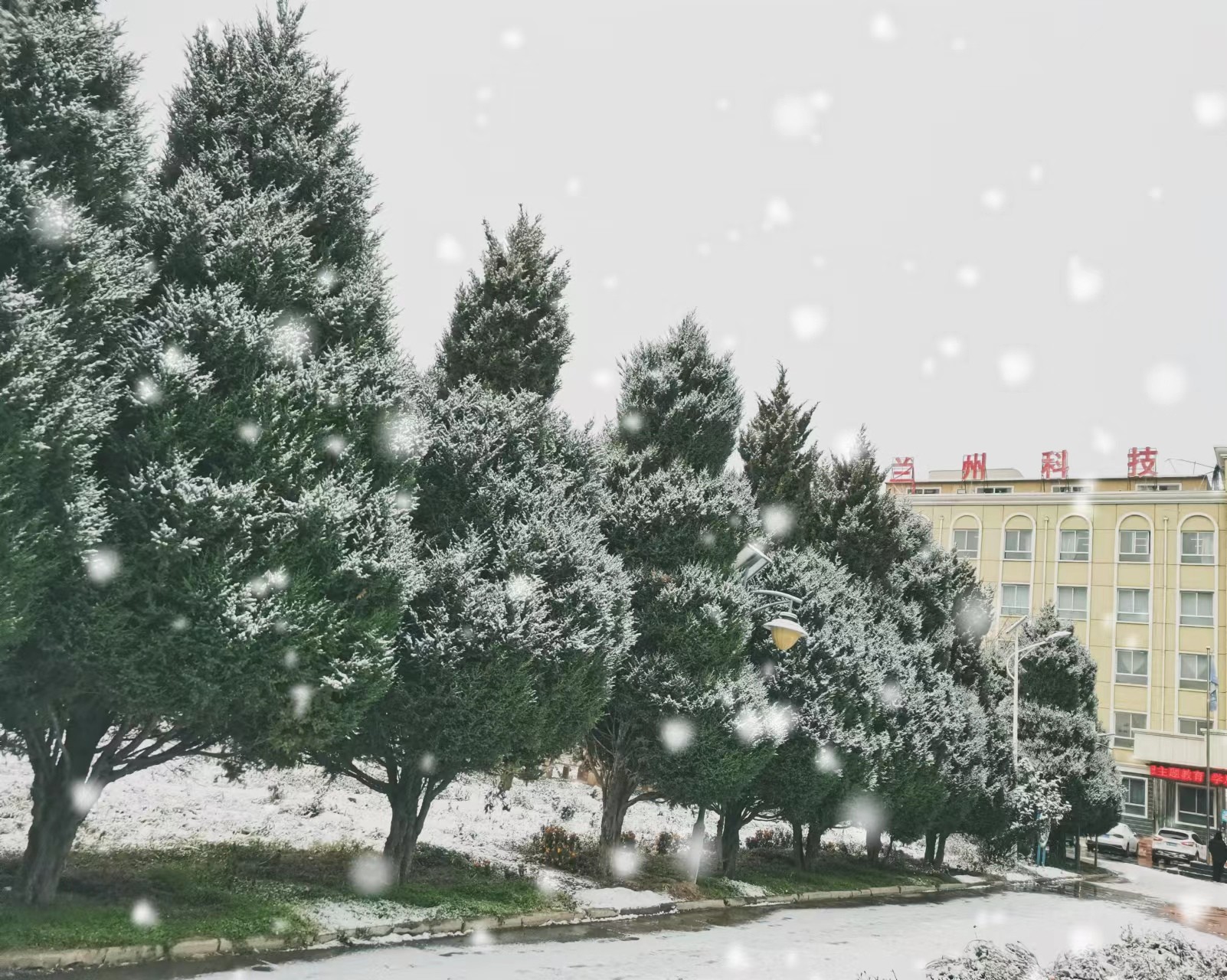 1700036089670961.jpg 1700036089670961.jpg